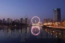 代租人妻-探索代租人妻现象，社会、伦理与法律的灰色地带