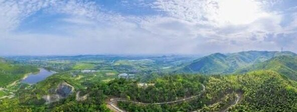 igao视频网麻豆-了解IGAO视频网中的麻豆文化——揭开网络观赏的新视角