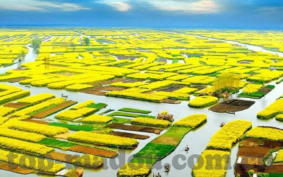 麻豆视频传媒下载-探索多元网络文化的边界，网罗影视资源的智慧与注意