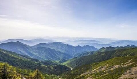 人妻收集者-探寻人妻收集者的复杂情感世界