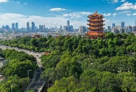 人妻之百日礼物-人妻之百日礼物的温情篇章