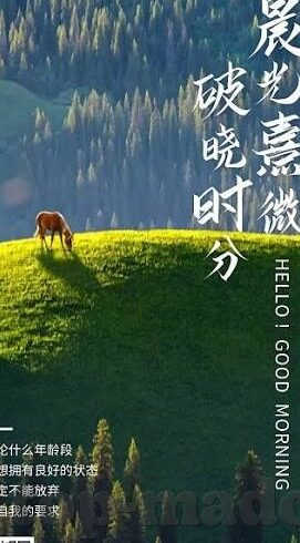 糖心社区app-虚拟社区的多元体验，糖心社区app的深度探索