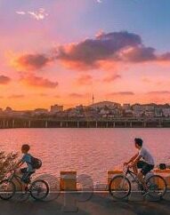 糖心vlog安安老师视频-糖心vlog，探索安安老师视频的魅力与影响