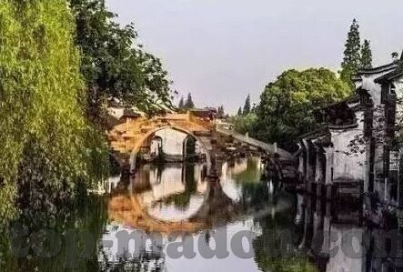 在线成人视频播放-成人娱乐的数字化趋势，在线成人视频播放的多元视角